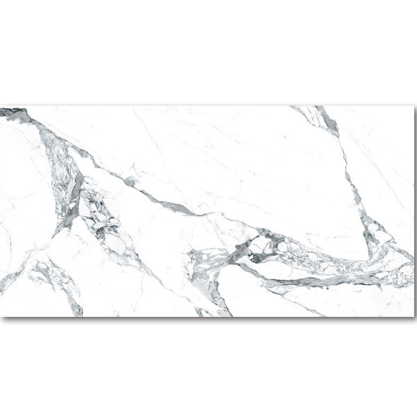 TITANIUM Titanium Calacatta Classico Grey Matte 60x120 - 1